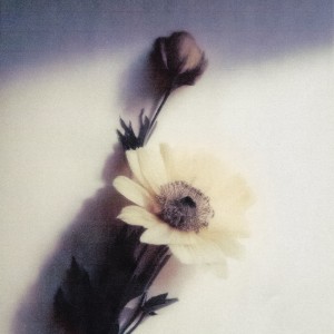 Dengarkan Bouquet (feat. YOUHA, punchnello) lagu dari Will Not Fear dengan lirik