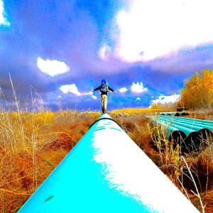Album Ruth's Sunny Blisters from Michael Ash Sharbaugh