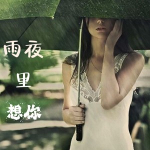 Listen to 雨夜里想你 (伴奏) song with lyrics from 陈卫东