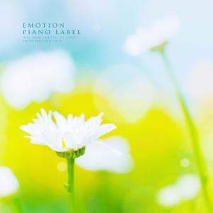 Listen to A Memoir Of Memories song with lyrics from Kelp