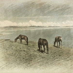 Listen to 孤独的呐喊 song with lyrics from 三亩地
