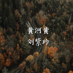 收听刘紫玲的青藏高原歌词歌曲