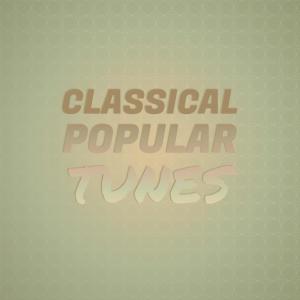 Album Classical Popular Tunes from Various