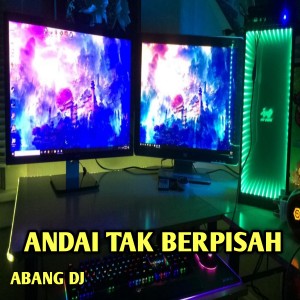 Dengarkan lagu Andai Tak Berpisah nyanyian Abang Dj dengan lirik