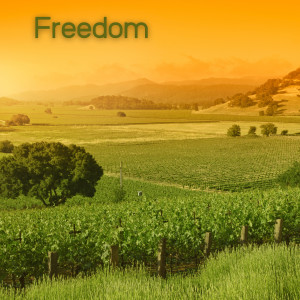 Listen to Freedom (Reading and Study Music,Study Music, Study Music Academy,Musique Relaxante Relax) song with lyrics from Pedro Caceres
