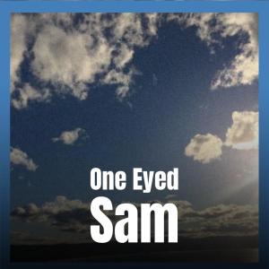 Silvia Natiello-Spiller的專輯One Eyed Sam