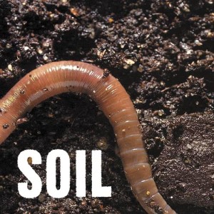 收聽SOiL的Yellow Lines歌詞歌曲