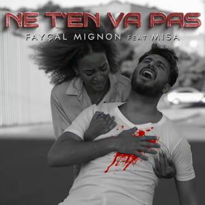 收聽Fayçal Mignon的Ne t'en vas pas歌詞歌曲
