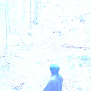 Listen to Engelsgesang song with lyrics from beautiful despair