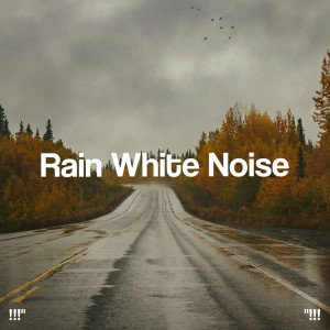 !!!" Rain White Noise "!!!