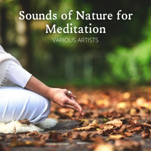 Listen to Rain 2 (Rain Sound) song with lyrics from Relaxing Music
