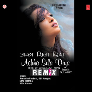 Anuradha Paudwal的專輯Achha Sila Diya - Remix