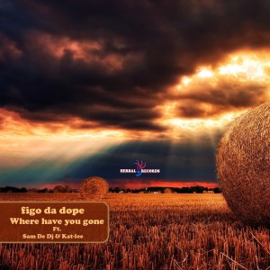 Listen to Where Have You Gone song with lyrics from Figo Da D**e