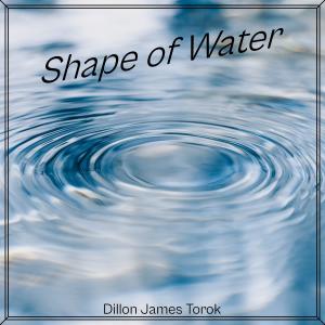 收聽Dillon James Torok的Shape of Water歌詞歌曲