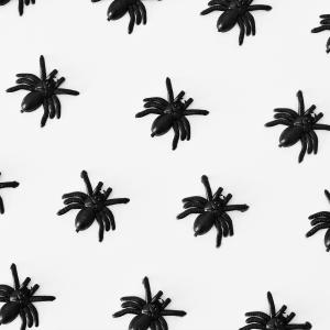 ดาวน์โหลดและฟังเพลง Spiders พร้อมเนื้อเพลงจาก EIJI