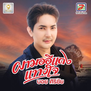 Listen to ผามออีแดงแทงใจ song with lyrics from บอย ศิริชัย