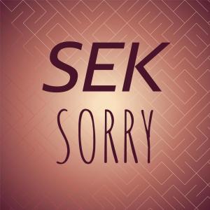 Various的专辑Sek Sorry