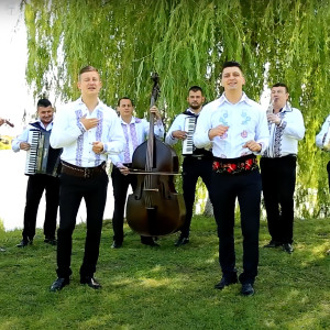 Listen to Mi-Am Adus Astazi Aici Toti Muzicantii song with lyrics from Blaga de la Oradea