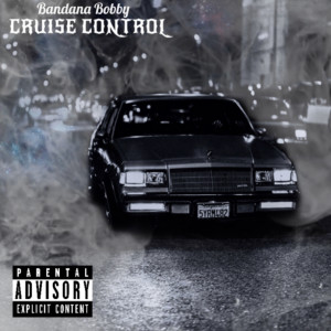 Listen to This Who I Am (Explicit) song with lyrics from Bandana Bobby