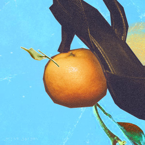 Album Naked Orange (Explicit) from Tiad Hilm