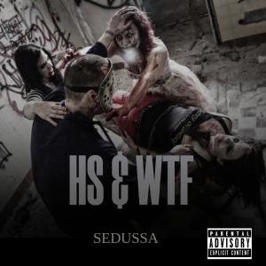 ดาวน์โหลดและฟังเพลง HS & WTF (Explicit) พร้อมเนื้อเพลงจาก Sedussa