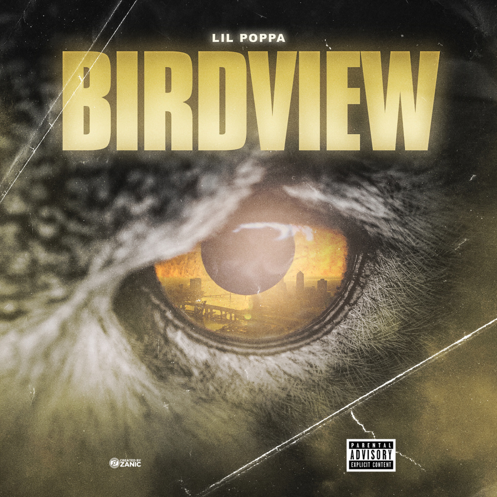 Birdview (Explicit)