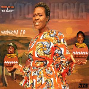 Listen to Ndo Neta (feat. Yoleen SA) song with lyrics from VEG Family