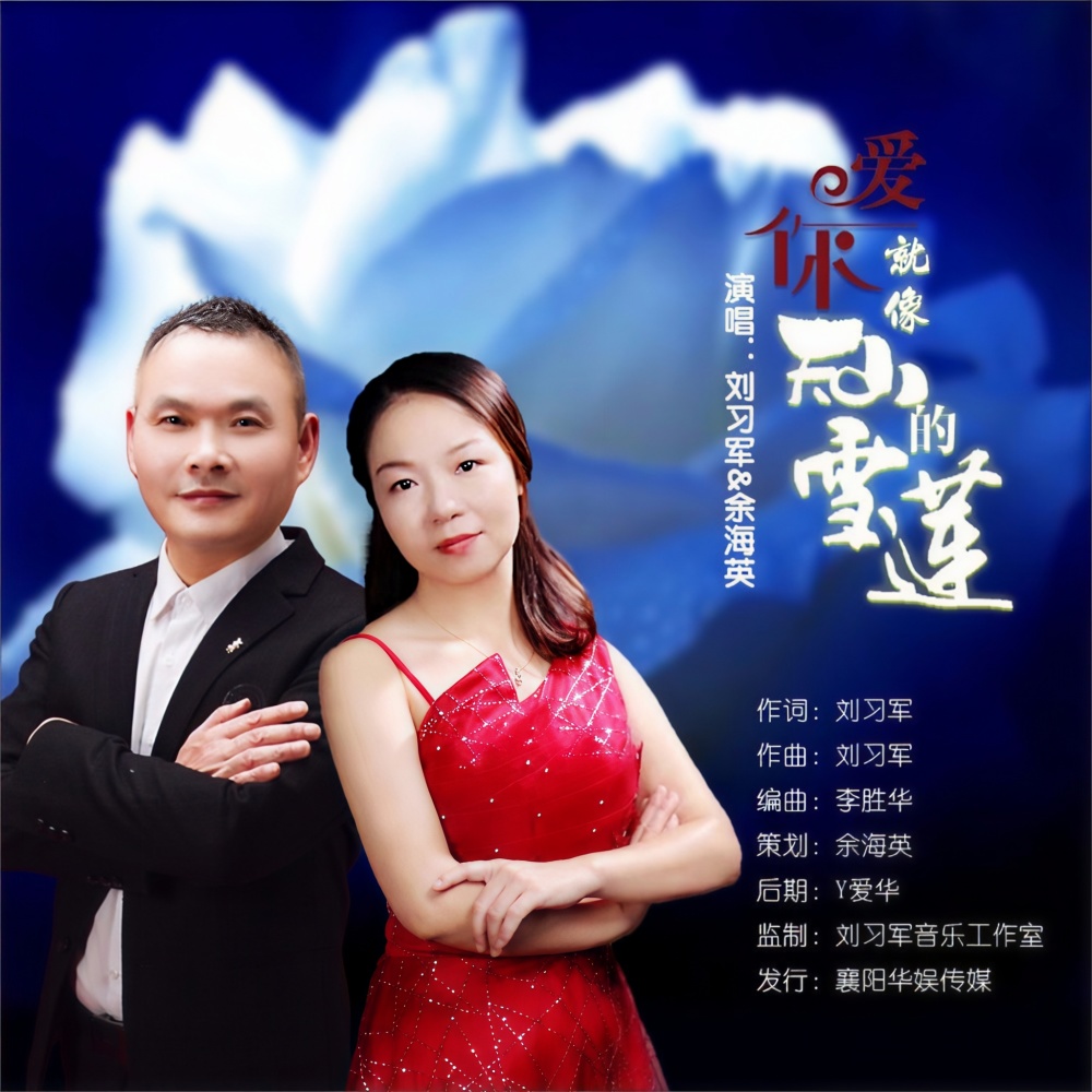 爱你就像天山的雪莲（柔情和声版） (伴奏)