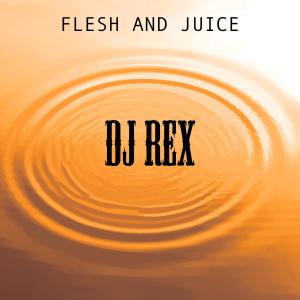 Listen to Flesh and Juice song with lyrics from DJ Rex
