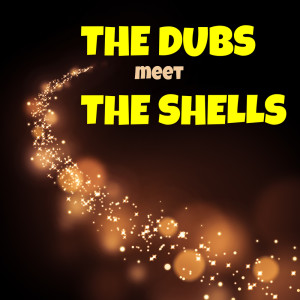 ดาวน์โหลดและฟังเพลง Baby, Walk On In พร้อมเนื้อเพลงจาก The Shells