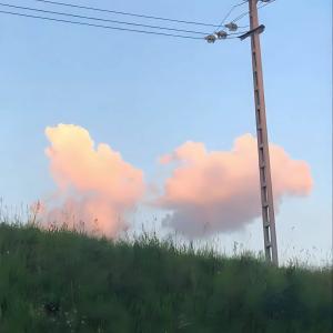 收聽José Bautista的electric daydream歌詞歌曲