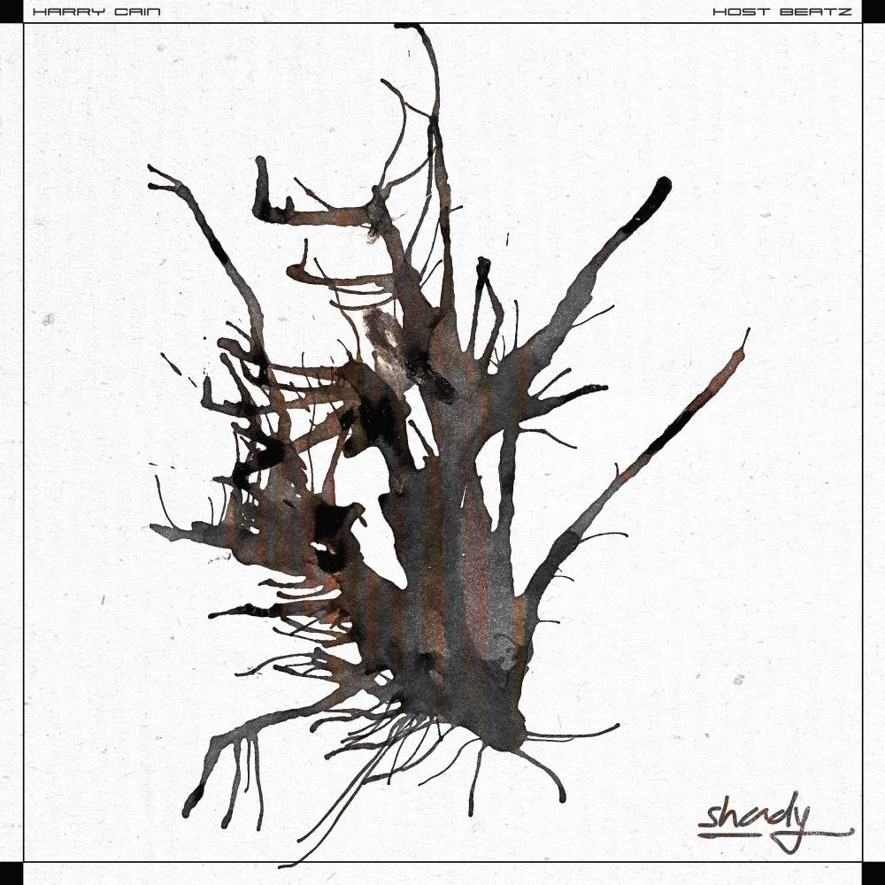 Shady (feat. Host Beatz) (Explicit)