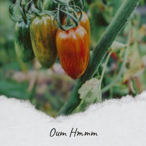 Album Oum Hmmm from 