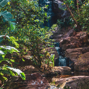 ดาวน์โหลดและฟังเพลง Mellow Sea Melody พร้อมเนื้อเพลงจาก Nature Sounds