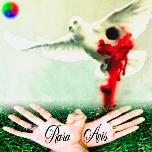 收聽Caraperro的Rara Avis (Explicit)歌詞歌曲