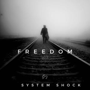 Listen to Freedom song with lyrics from System Shock