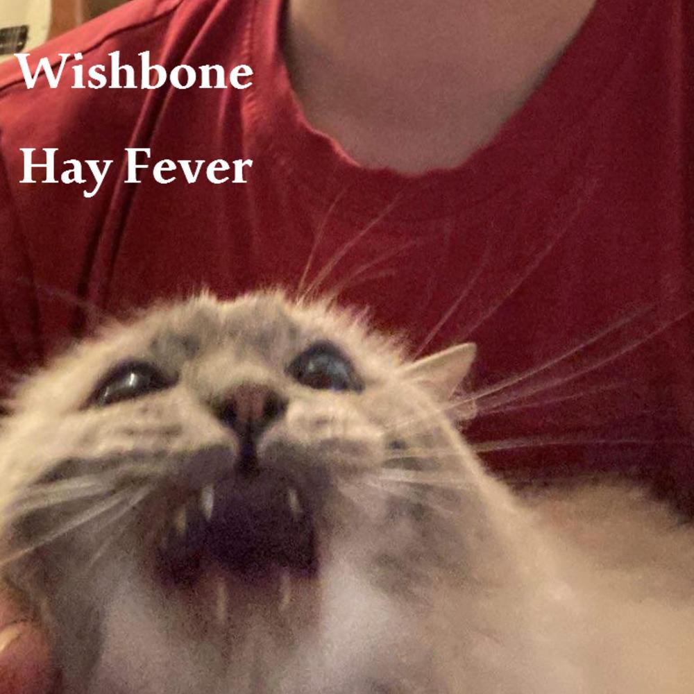 Hay Fever Rework