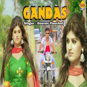 收听Gourav Panchal的Gandas歌词歌曲