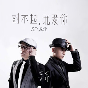 Dengarkan lagu 对不起，我爱你 nyanyian 龙飞龙泽 dengan lirik