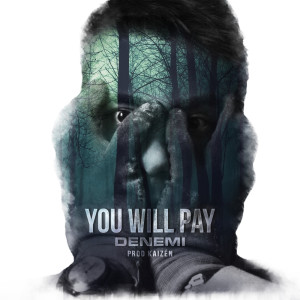 Album You Will Pay from Denemi
