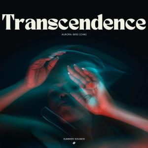Alan-Dash的專輯Transcendence