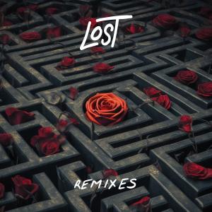ดาวน์โหลดและฟังเพลง Lost (feat. Kaylan Arnold) (DJ Q Remix) พร้อมเนื้อเพลงจาก Hans Glader