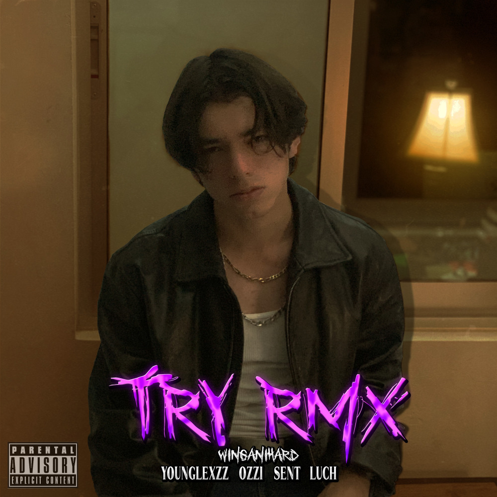 Try (Remix)