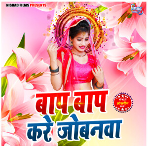 Album Bap Bap Kare Jobanwa from Rahul Raj