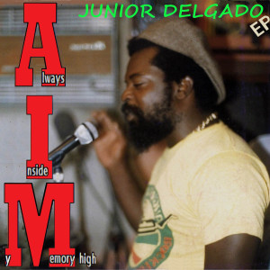 Album Aim High oleh Junior Delgado