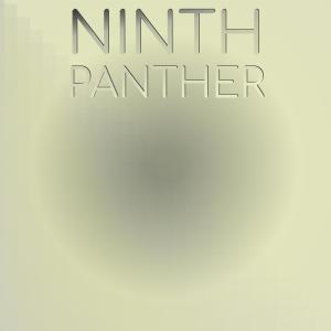 อัลบัม Ninth Panther ศิลปิน Various