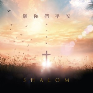 Listen to 有一種平安 song with lyrics from 杨德仁