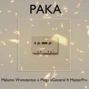 Album PAKA (feat. MasterPru) [with Mega uGeneral] from 