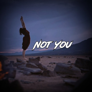 ดาวน์โหลดและฟังเพลง Not You พร้อมเนื้อเพลงจาก Diar