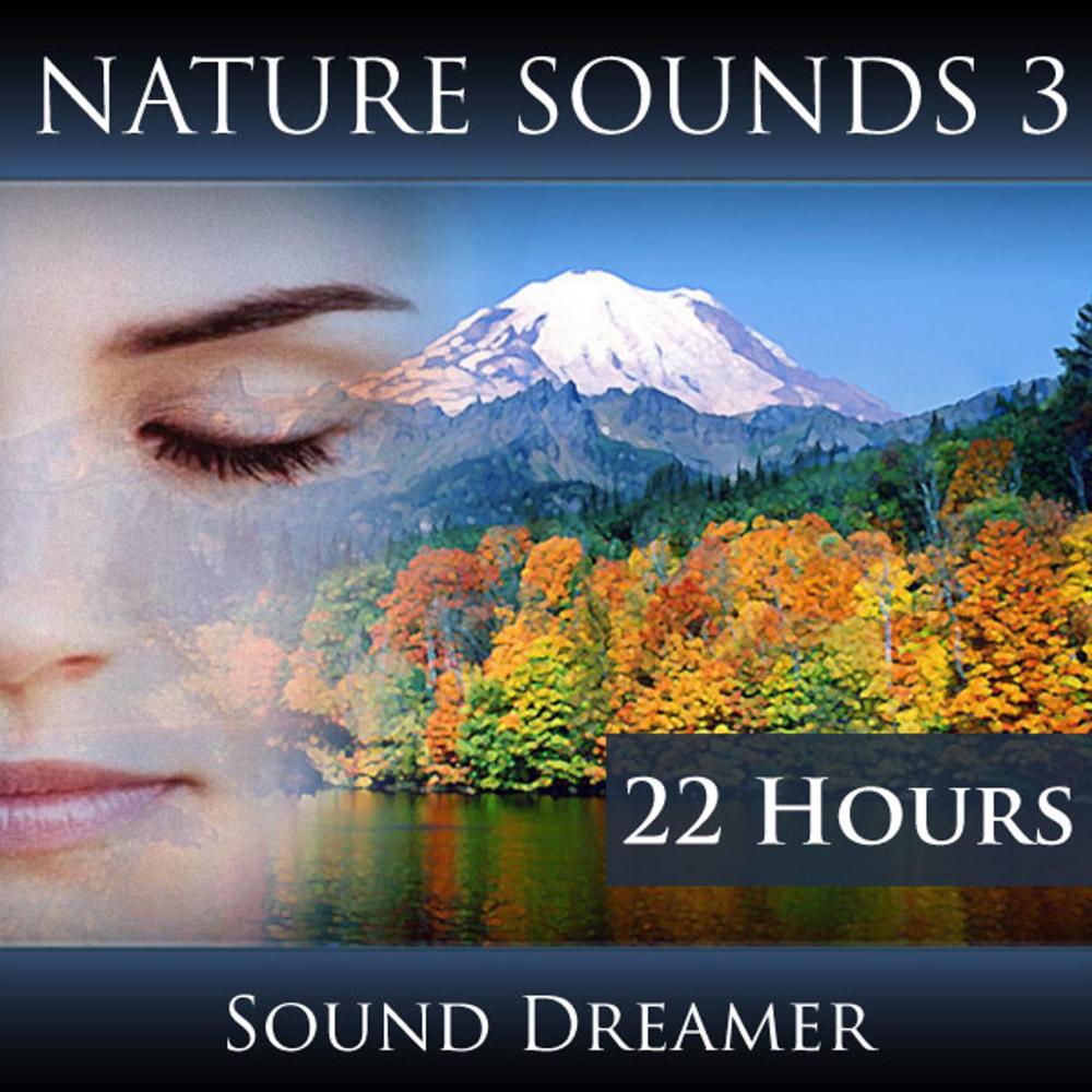 Ocean Waves, Campfire and Cricket Sounds (2 Hours)